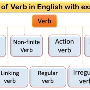Types of verb in English